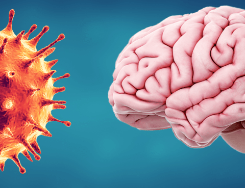 Infecciones virales como el COVID-19 y sus efectos en el cerebro